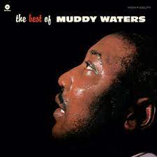 WATERS MUDDY-THE BEST OF LP *NEW*