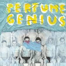 PERFUME GENIUS-PUT YOUR BACK N 2 IT LP NM COVER NM