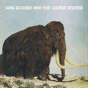 KING GIZZARD & THE LIZARD WIZARD-POLYGONDWANALAND ELECTRIC BLUE VINYL LP *NEW*”