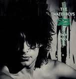 WATERBOYS THE-A PAGAN PLACE LP *NEW*