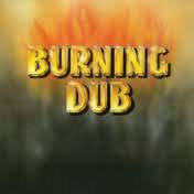 REVOLUTIONARIES THE-BURNING DUB LP *NEW*