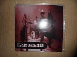 BLACK PANTHERS- HEY HEY 7INCH *NEW*