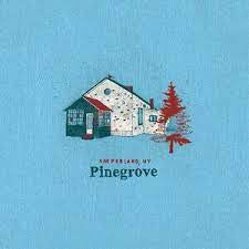 PINEGROVE-AMPERLAND, NY CD *NEW*