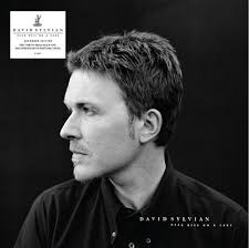 SYLVIAN DAVID-DEAD BEES ON A CAKE 2LP *NEW*